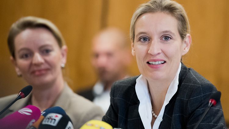 Fraktionsvorsitzende Alice Weidel.