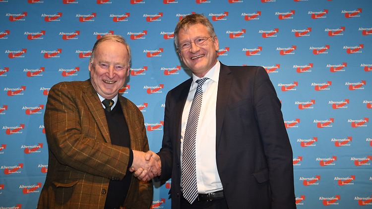 Die neuen Parteivorsitzenden: Alexander Gauland (l.) und Jörg Meuthen.