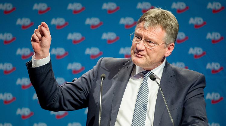 Jörg Meuthen auf dem AfD-Parteitag in Hannover.