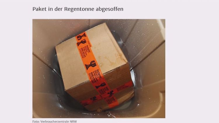 Paketzusteller.JPG