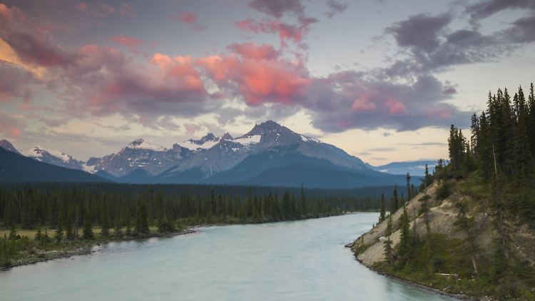 Idylle am Saskatchewan River im Banff-Nationalpark.