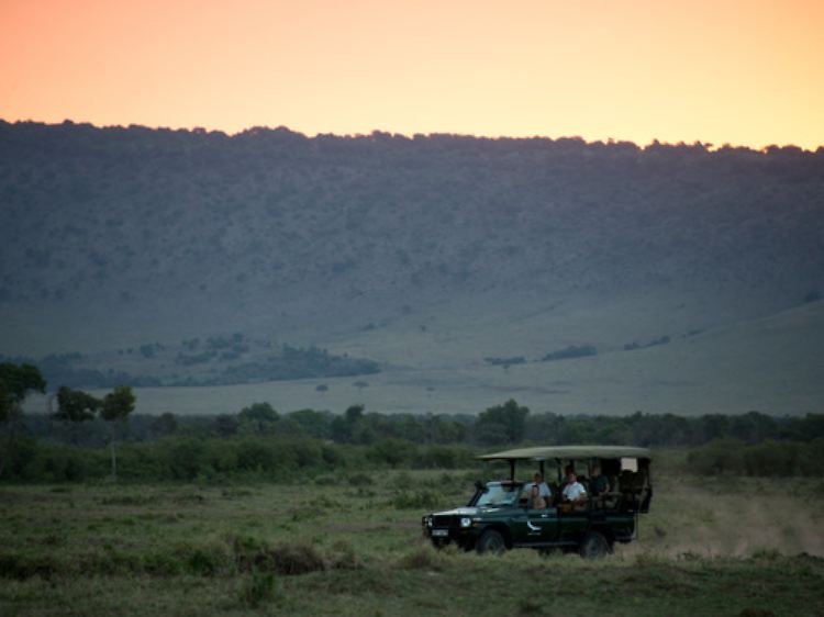 Auf Tiersuche: Dieses Fahrzeug der Safari-Lodge-Gruppe &Beyond ist am Morgen in der Masai Mara unterwegs.