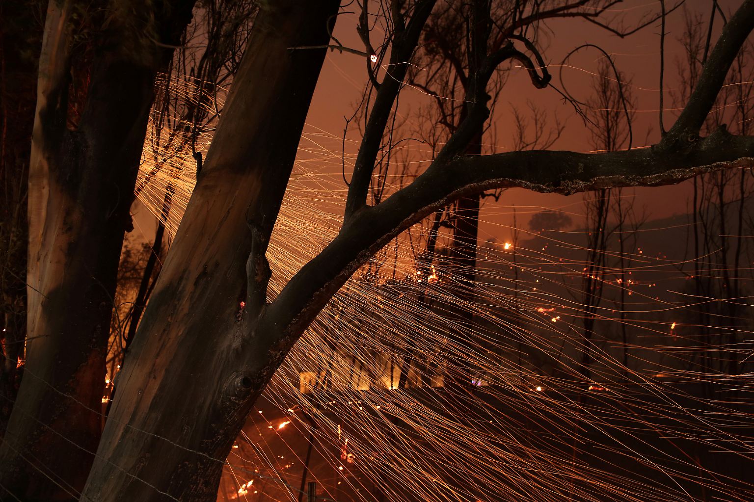 Es sind geradezu apokalyptische Bilder, die sich derzeit den Feuerwehrleuten in Kalifornien bieten: Zwar wirken die Buschbrände, die seit Tagen im Raum Los Angeles wüten, ...