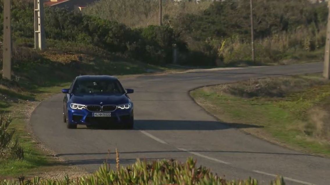 m5.JPG