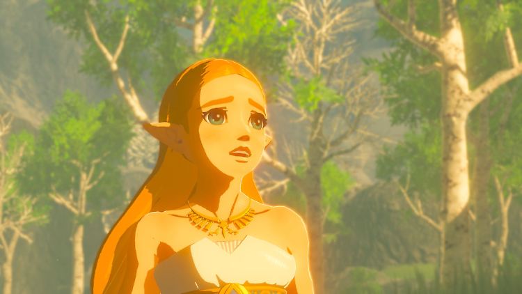 Zelda schützt das Königreich und wird von Link gerettet.