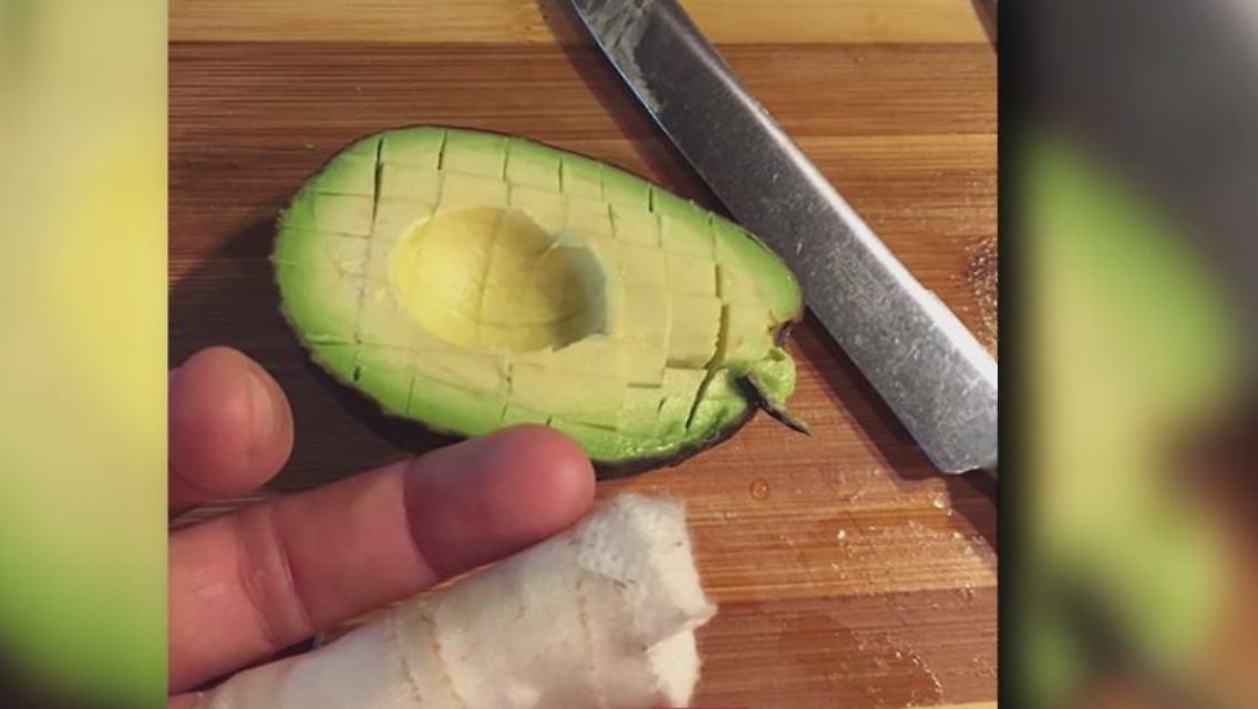 avocado1.JPG