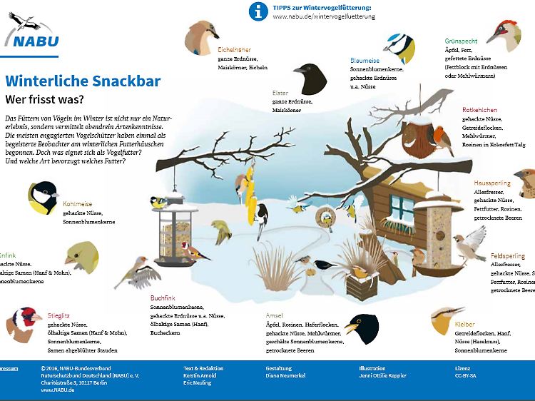 Hier ist grafisch dargestellt, mit welchem Snack welcher Vogel glücklich ist. Sonnenblumenkerne gehen immer.