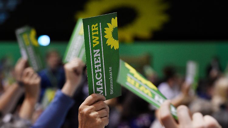 Um den Parteivorsitz bei den Grünen ist eine interne Debatte entbrannt. 