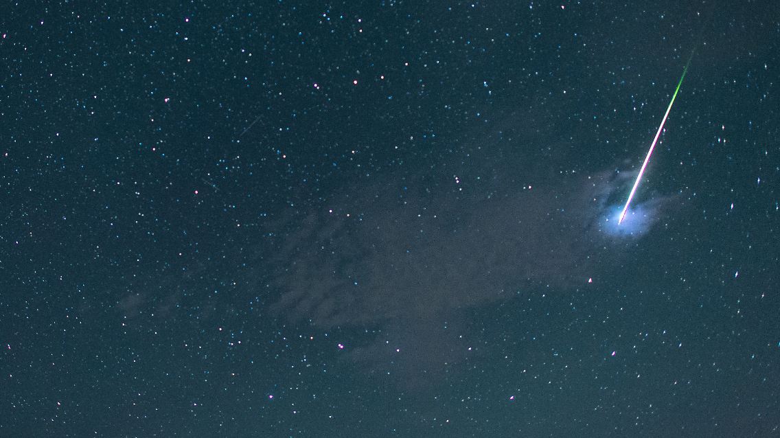 60746481.jpg