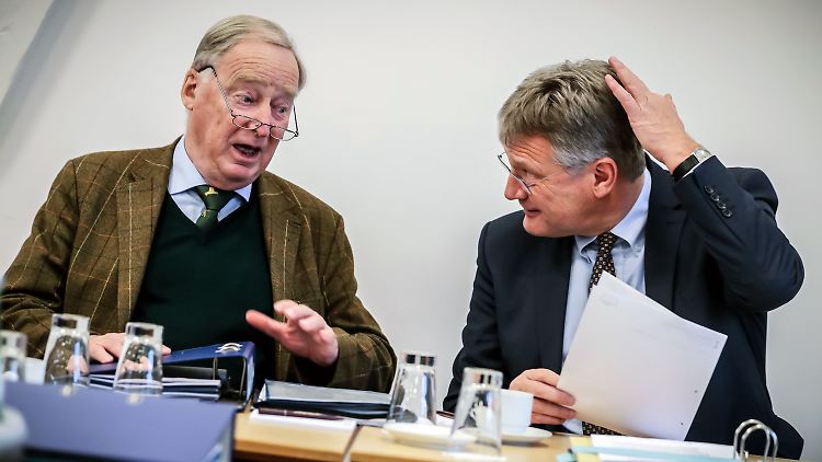 Die beiden Parteivorsitzenden der AfD, Alexander Gauland (l.) und Jörg Meuthen hätten gerne eine Gustav-Stresemann-Stiftung.