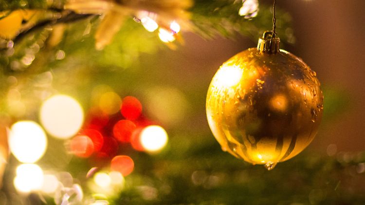 In Bangkok sind die Weihnachtsbäume besonders bei westlichen Ausländern begehrt.