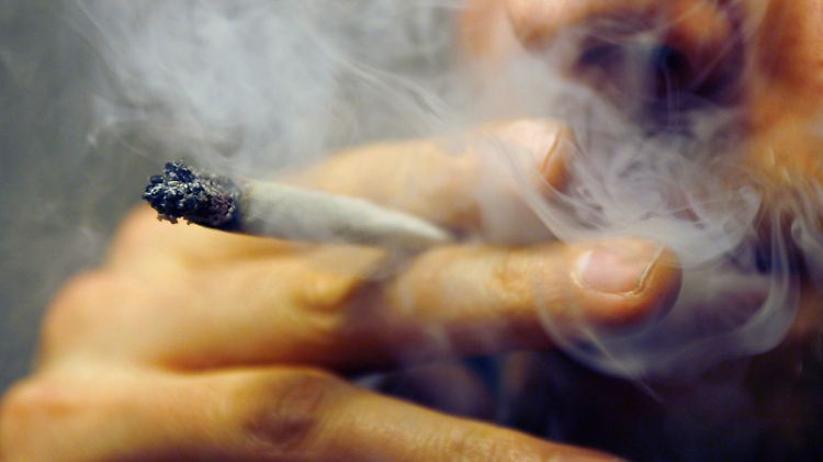 In Kalifornien darf künftig jeder ab 21 Jahren bis zu 28,3 Gramm Cannabis ohne Rezept erwerben und bis zu sechs Cannabis-Pflanzen selbst anbauen. 