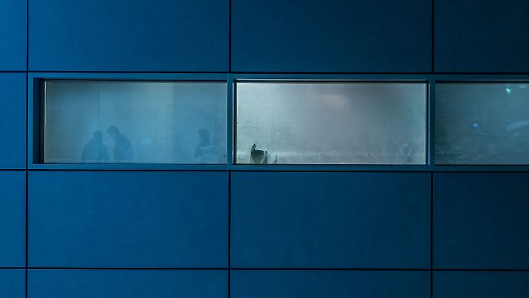 Klare Sicht auf die Große Koalition? Keineswegs - im Dezember besprachen sich Union und SPD hinter zugezogenen Fenstern.