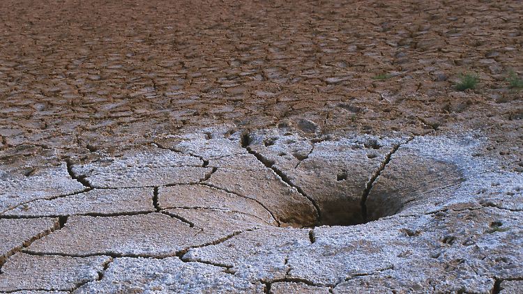 Der Aralsee trocknet aus - die Insel darin birgt viele Geheimnisse.