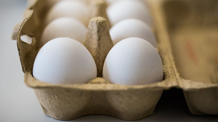 Eine 10er-Packung Eier aus Bodenhaltung wird 20 Cent teurer.
