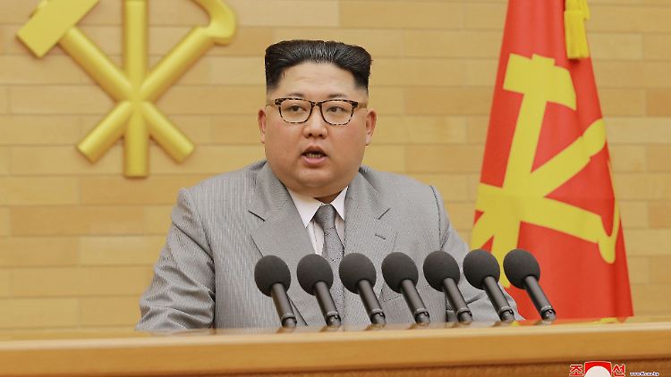 Machthaber Kim Jong Un hatte in seiner Neujahrsansprache Gesprächsbereitschaft angedeutet.