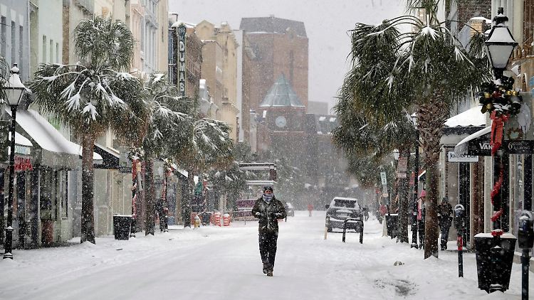 Schneesturm unter Palmen: Das Wetterchaos macht auch vor Florida nicht Halt.