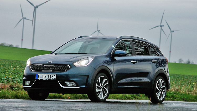 niro1.jpg