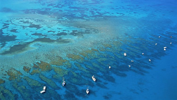 Orte wie die Florida Keys sind beliebt bei Touristen aus nah und fern.