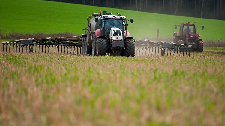 Landwirte setzen Gülle häufig als Dünger auf ihren Feldern ein.