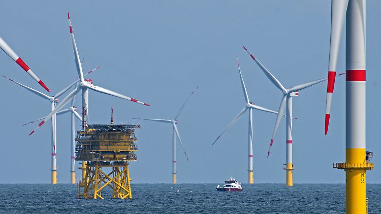 Naturschutzverbände und Politik haben unterschiedliche Vorstellungen von der Zukunft der deutschen Nordsee.
