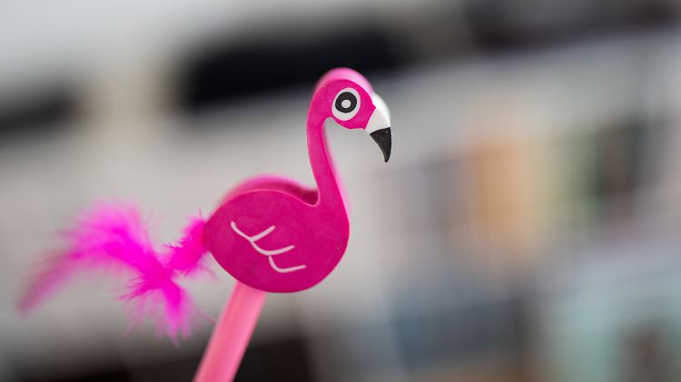 Der Flamingo löst das Einhorn als Trendtier ab.
