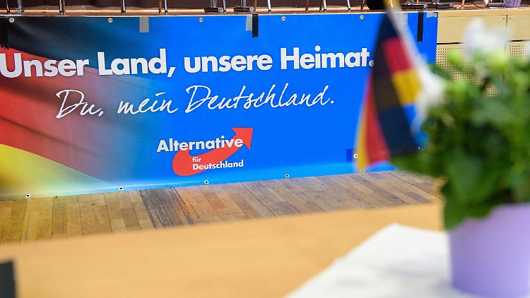 Beim Landesparteitag der AfD im Sommer 2017 in Völklingen. 