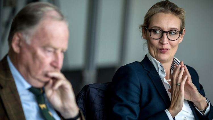 Alice Weidel wäre offenbar die Desiderius-Erasmus-Stiftung lieber. Alexander Gauland findet, "Gustav Stresemann und die AfD, das passt zusammen".