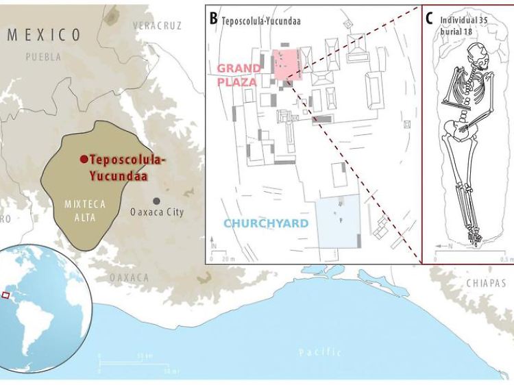 Überblick über Teposcolula-Yucundaa in der Mixteca-Alta-Region von Oaxaca, Mexiko. (C) zeigt Individuum 35, aus dem ein S. enterica-Genom isoliert wurde.