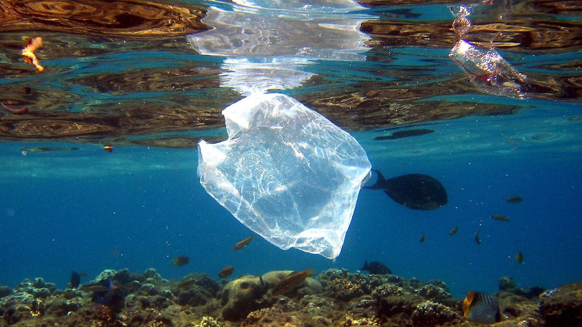 Plastikmüll gilt als eine große Bedrohung für das Leben in den Ozeanen.