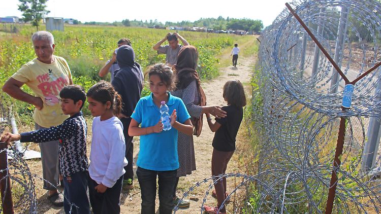Flüchtlinge stehen am Grenzzaun im Elendslager von Röszke, Ungarn.