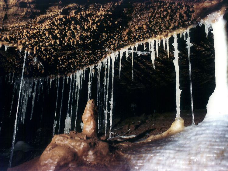 Auch Hessen hat ein Kalkriff: im Westerwald bei Breitscheid.
