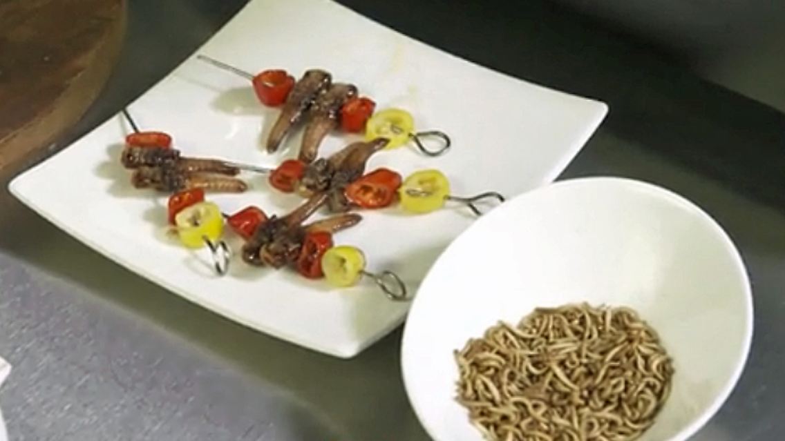 Ratgeber_Insekten.jpg