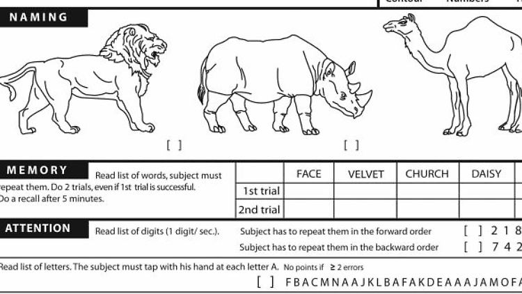Eine Frage des MoCA-Tests: Welche Tiere sind zu sehen?