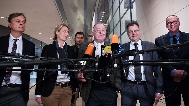 Die Fraktionsspitze der AfD tritt vor die Kameras, nachdem Reusch bei der Wahl für das Kontrollgremium durchgefallen ist.