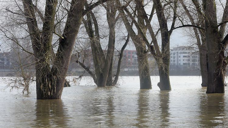 Der anschwellende Rhein bedeckt in Köln die Uferwiesen, am Montag soll sich am Oberrhein eine Hochwasserwelle aufbauen.