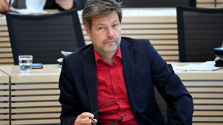 Auf dem Weg nach oben? Grünen-Politiker Robert Habeck kandidiert für den Parteivorsitz.
