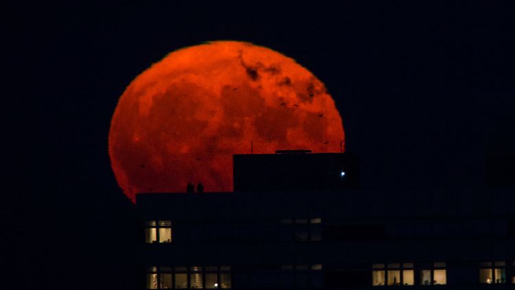 Supermond über Berlin am am 14.11.2016: In dieser Nacht war der Mond der Erde so nah wie zuletzt 1946. "Blue" und verfinstert war der Mond in dieser Nacht aber nicht.