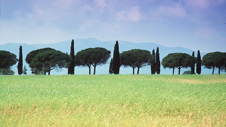 Die Maremma, in der Hannah Lesch lebt, liegt im Süden der Toskana.