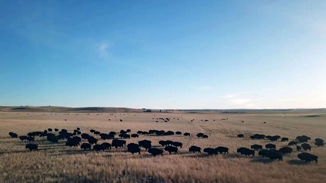 Wyoming.jpg