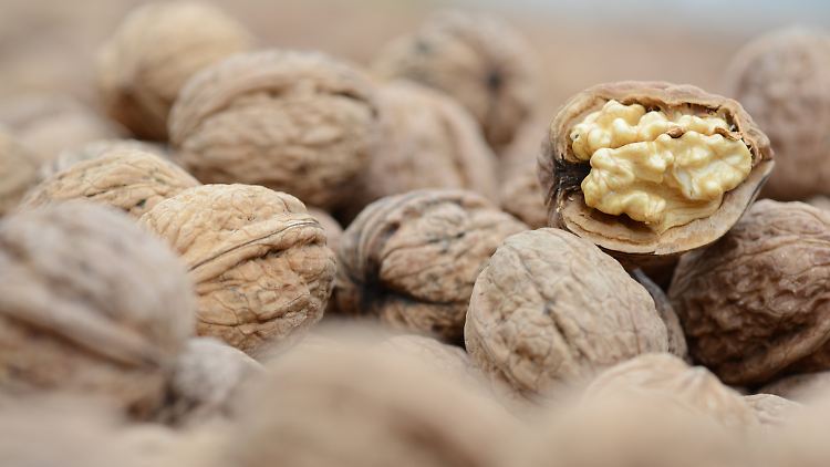 Im Herbst muss mit herabfallenden Früchten und Nüssen gerechnet werden.