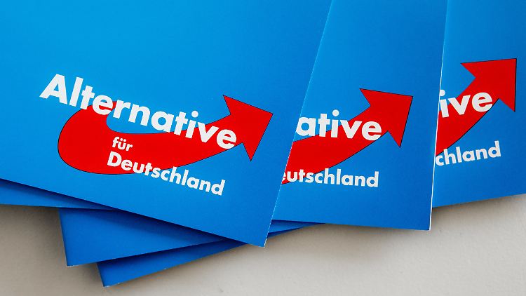 Drei Parlamentarier der AfD waren in den FC Bundestag aufgenommen worden.