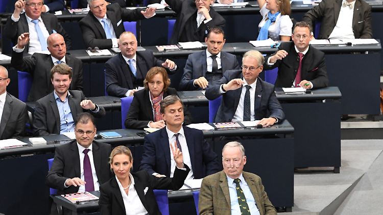 AfD-Fraktion bei der konstituierenden Sitzung des Bundestags.
