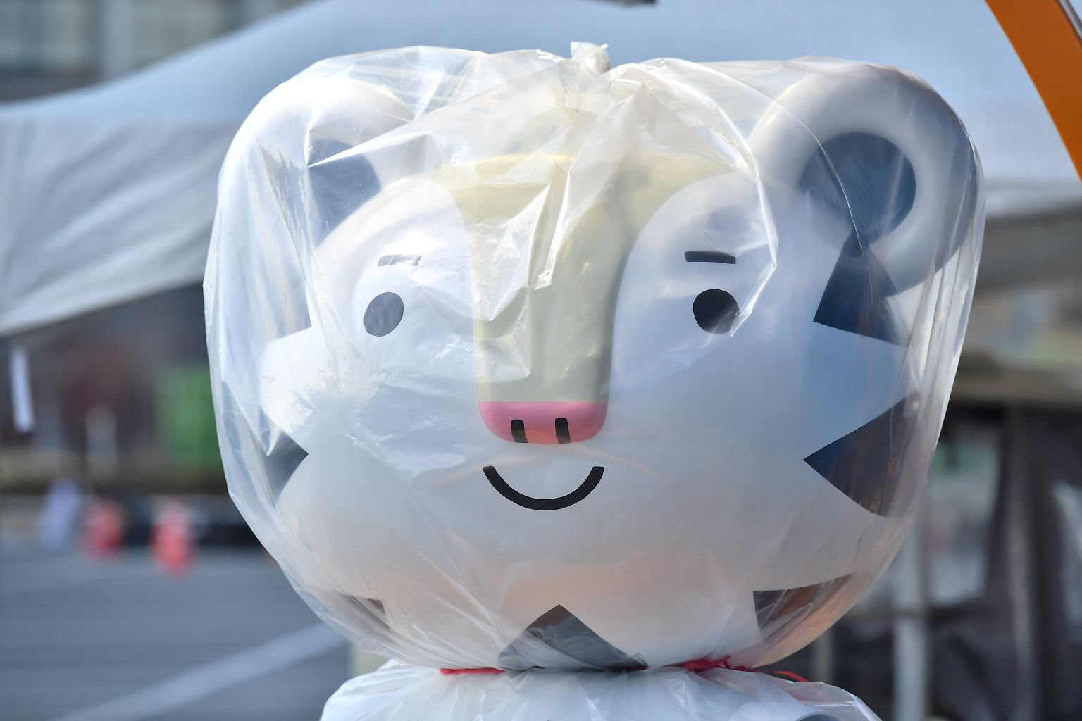 Glücklicherweise gibt es bei den Olympischen Winterspielen 2018 in Pyeongchang keine Fehlgriffe, was das Maskottchen angeht.