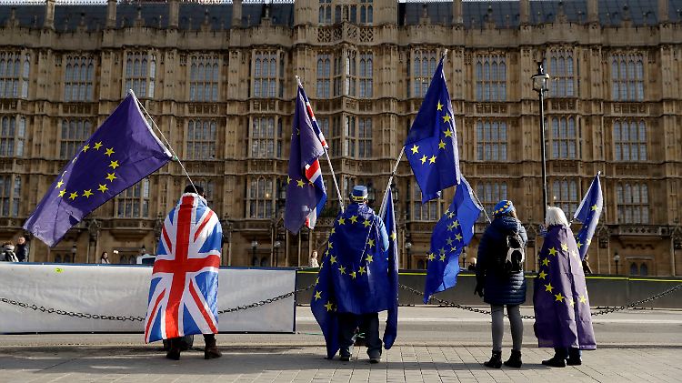Sie geben nicht auf: Pro-EU-Demonstranten vor dem britischen Parlament.