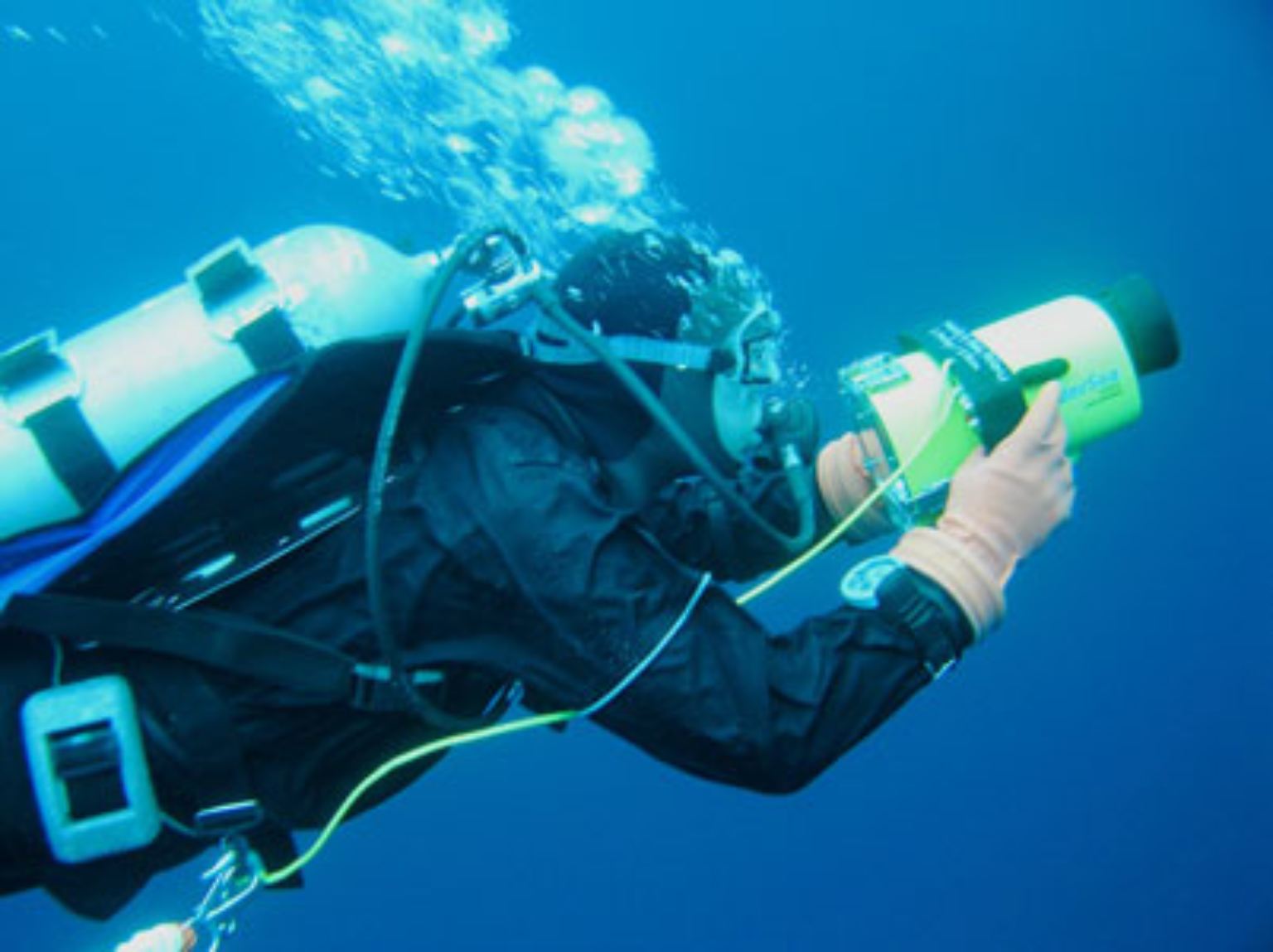 Das internationale Projekt "Census of Marine Life", an dem über 2.000 Forscher aus 80 Ländern mitarbeiten, hat sich zum Ziel gesetzt, bis zum Jahr 2010 die bislang umfangreichste Bestandsaufnahme des Lebens im Meer aufzustellen.