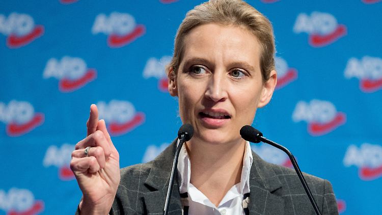 Die PR-Abteilung der AfD soll im Stil einer Nachrichtenredaktion arbeiten.