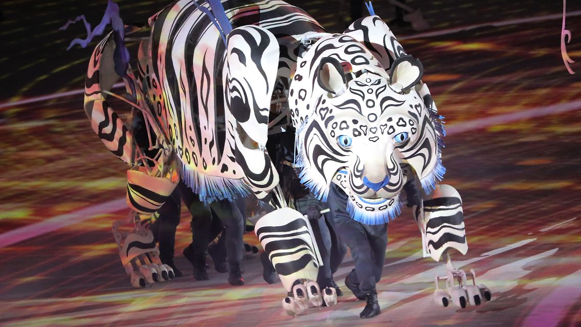 ... Tiger verwandeln die Arena in einen regelrechten Zoo.