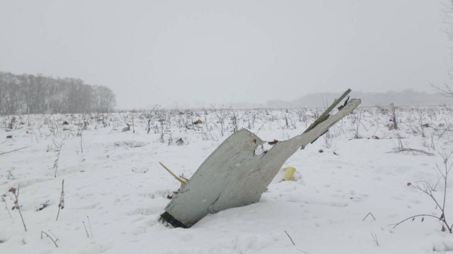 Beim Absturz eines russischen Passagierflugzeugs in der Nähe von Moskau sind 71 Menschen ums Leben gekommen. 