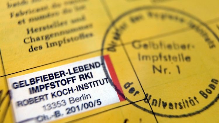 Schutzimpfungen werden im Impfausweis dokumentiert.